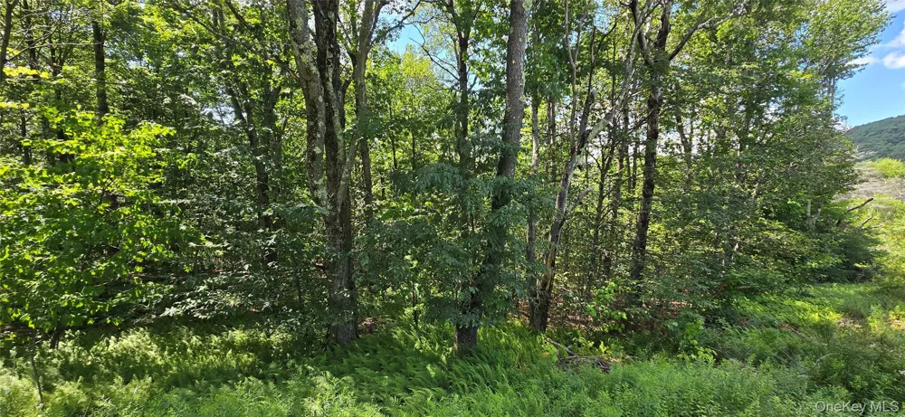 00 Red Hill Knolls Road Grahamsville, NY 12740