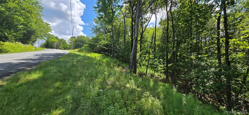 00 Red Hill Knolls Road Grahamsville, NY 12740