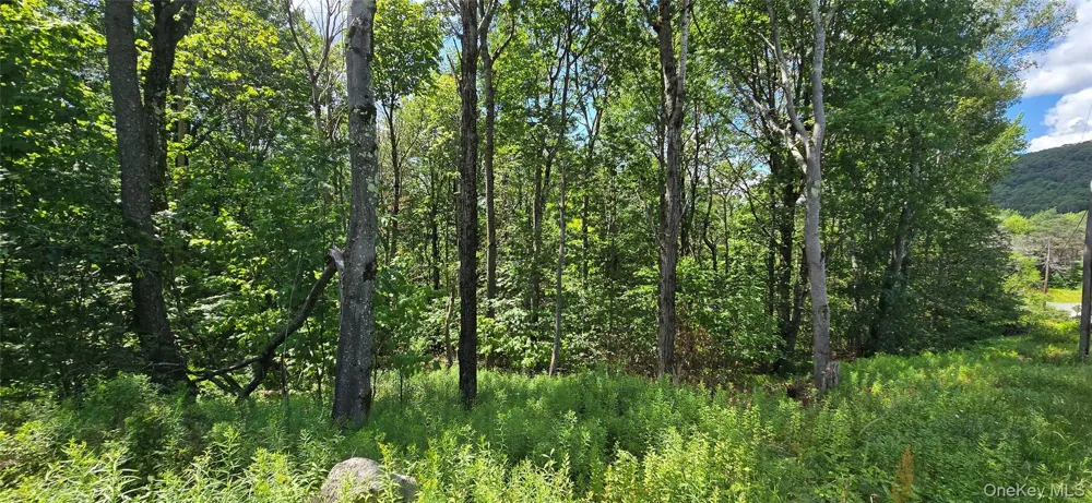 00 Red Hill Knolls Road Grahamsville, NY 12740