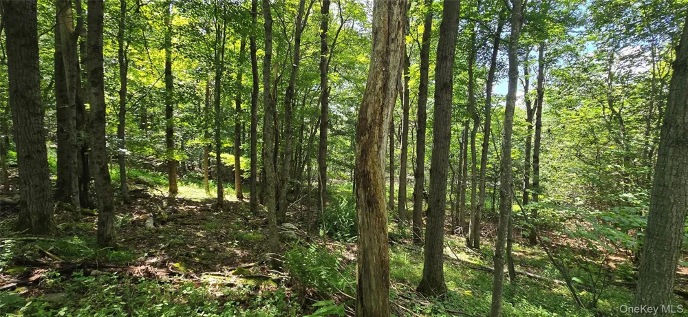 00 Red Hill Knolls Road Grahamsville, NY 12740