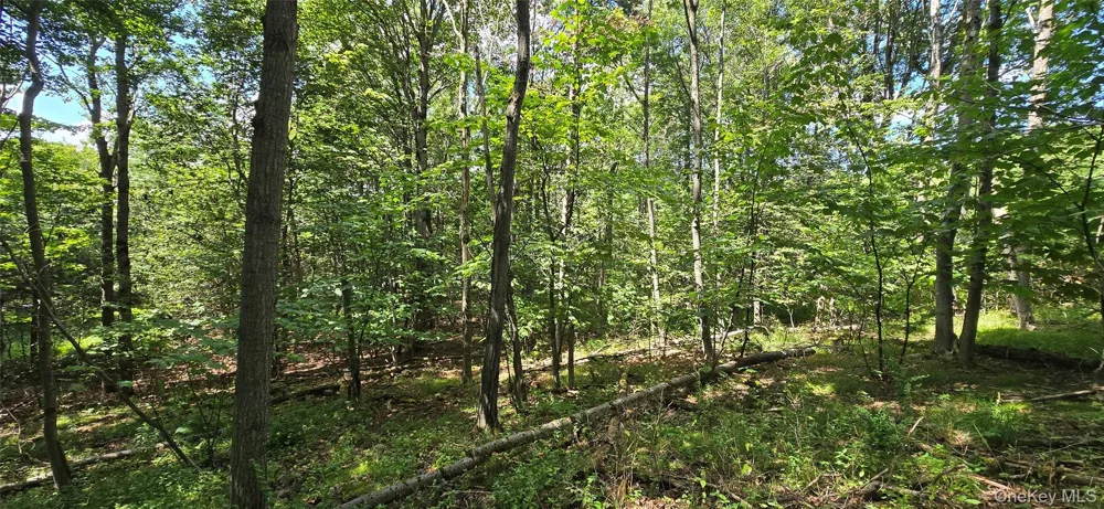 00 Red Hill Knolls Road Grahamsville, NY 12740