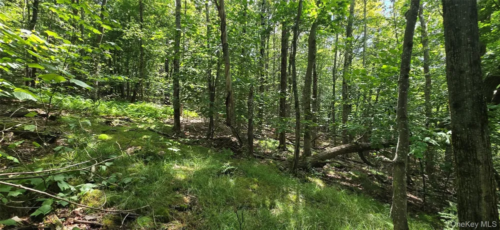 00 Red Hill Knolls Road Grahamsville, NY 12740