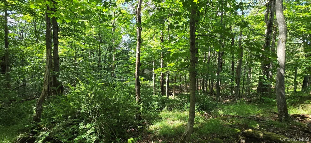 00 Red Hill Knolls Road Grahamsville, NY 12740