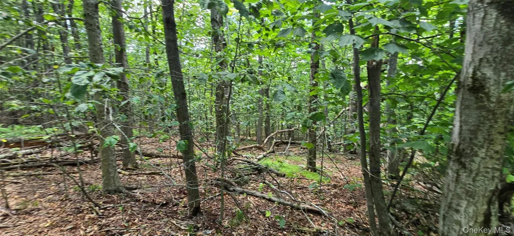 00 Red Hill Knolls Road Grahamsville, NY 12740