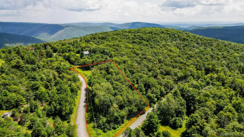 00 Red Hill Knolls Road Grahamsville, NY 12740