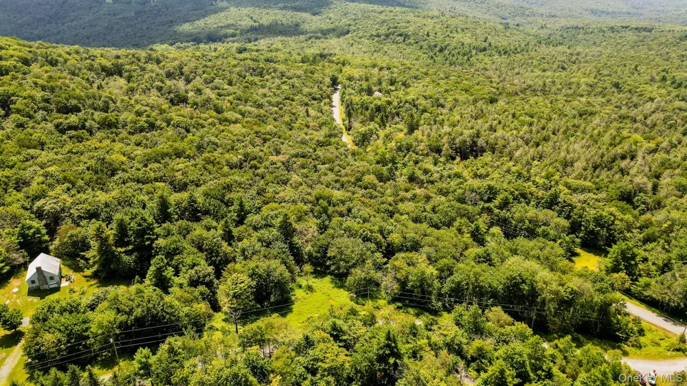 00 Red Hill Knolls Road Grahamsville, NY 12740