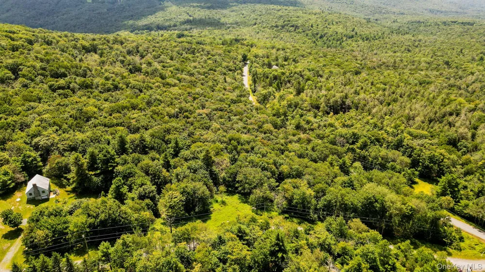 00 Red Hill Knolls Road Grahamsville, NY 12740