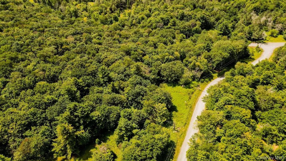 00 Red Hill Knolls Road Grahamsville, NY 12740