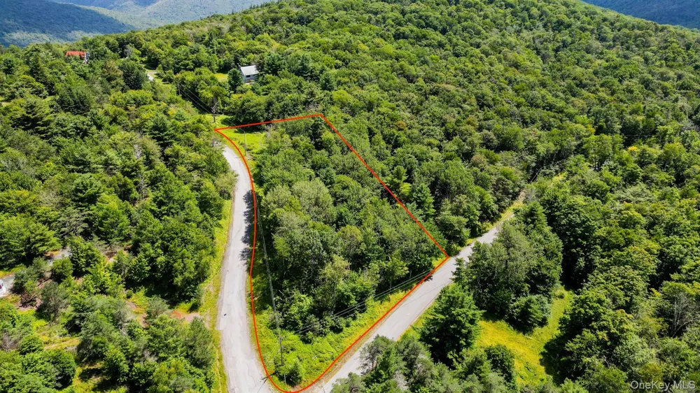 00 Red Hill Knolls Road Grahamsville, NY 12740
