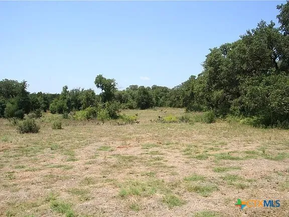 580 Whisper Lane Georgetown, TX 78628