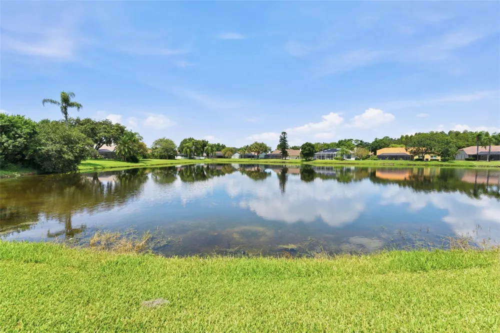 6513 THOROUGHBRED LOOP Odessa, FL 33556
