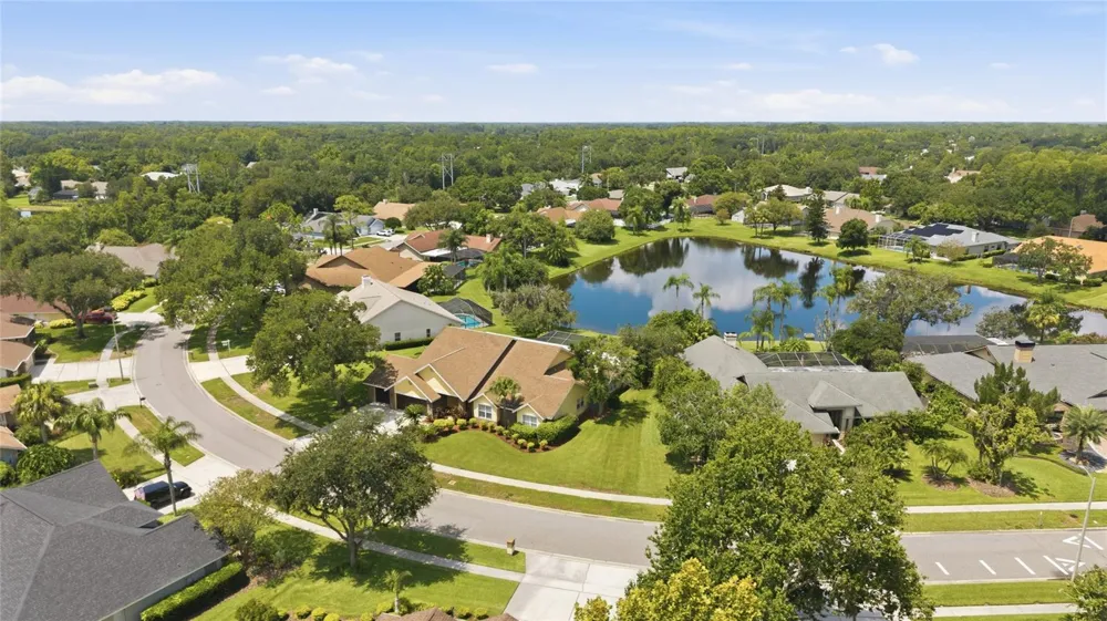 6513 THOROUGHBRED LOOP Odessa, FL 33556