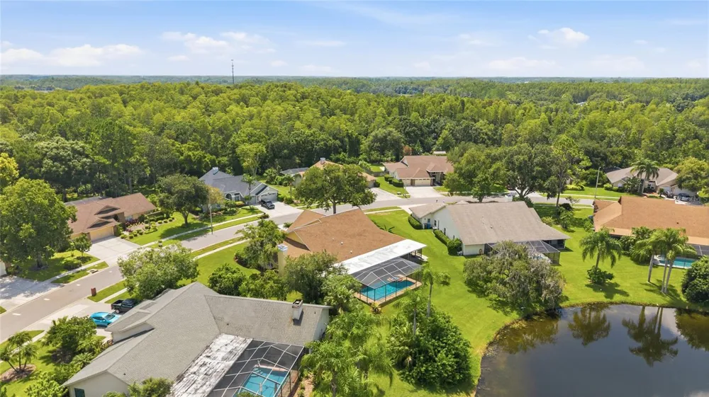 6513 THOROUGHBRED LOOP Odessa, FL 33556