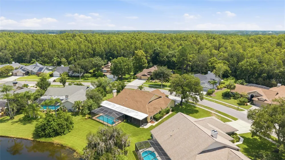 6513 THOROUGHBRED LOOP Odessa, FL 33556