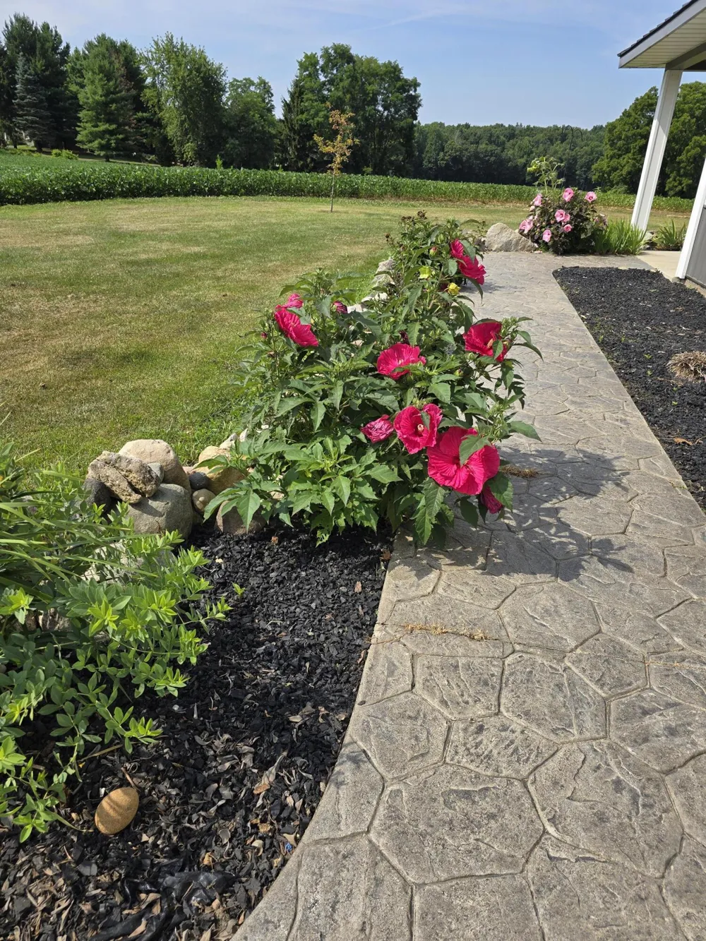2282 Lake Wilson Road Hillsdale, MI 49242