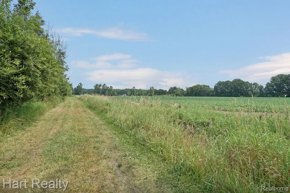 16298 Imlay City-A Road Mussey Township, MI 48014