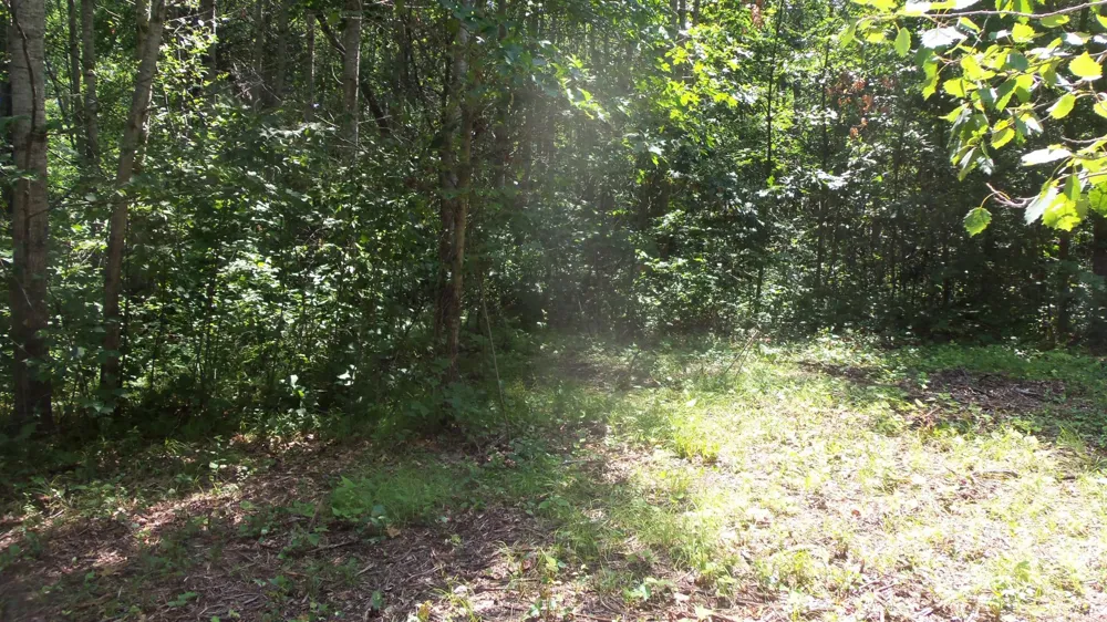 Lot 6 Birch Tree Trl Spooner, WI 54801