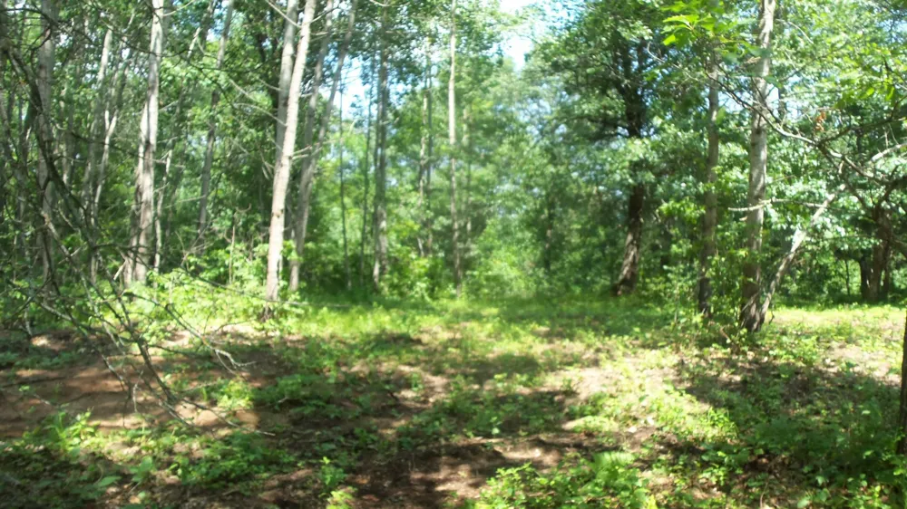 Lot 6 Birch Tree Trl Spooner, WI 54801