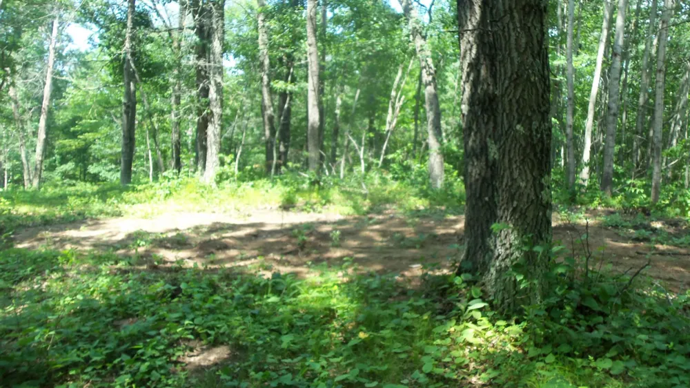 Lot 6 Birch Tree Trl Spooner, WI 54801
