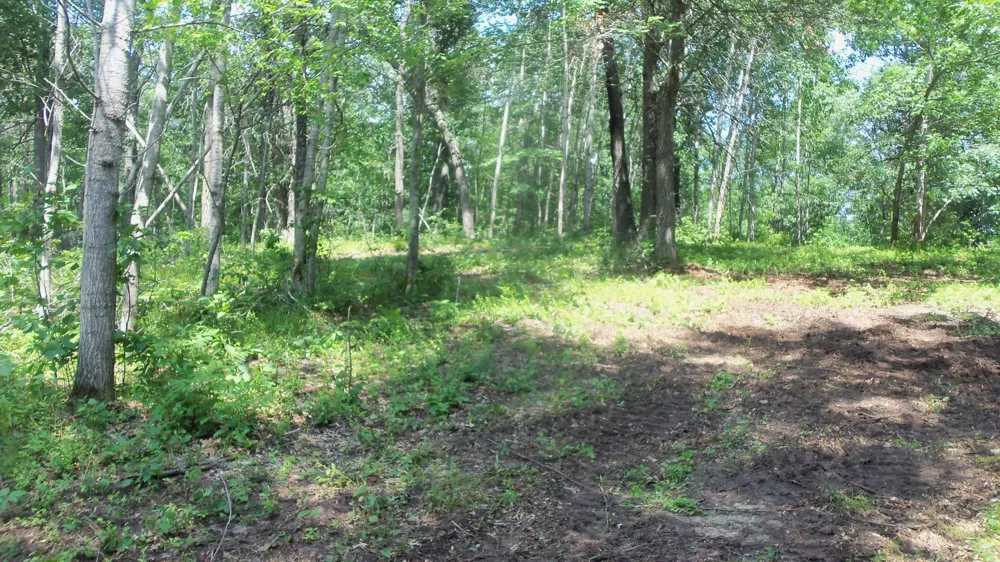 Lot 6 Birch Tree Trl Spooner, WI 54801