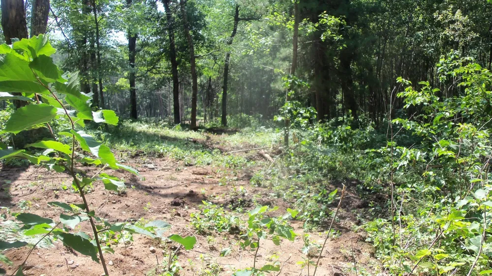 Lot 7 Birch Tree Trl Spooner, WI 54801