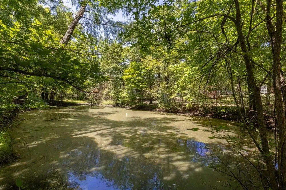 6966 CR 3512 Quinlan, TX 75474