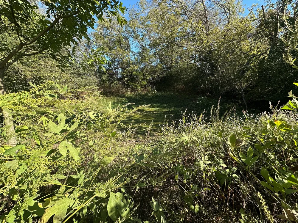 492 Lcr 431 Mexia, TX 76667