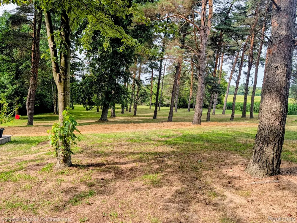 6895 Lanway Road Koylton Township, MI 48741