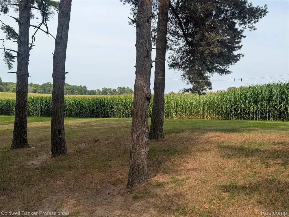 6895 Lanway Road Koylton Township, MI 48741