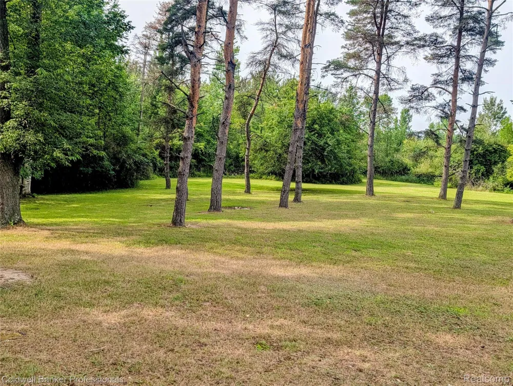 6895 Lanway Road Koylton Township, MI 48741