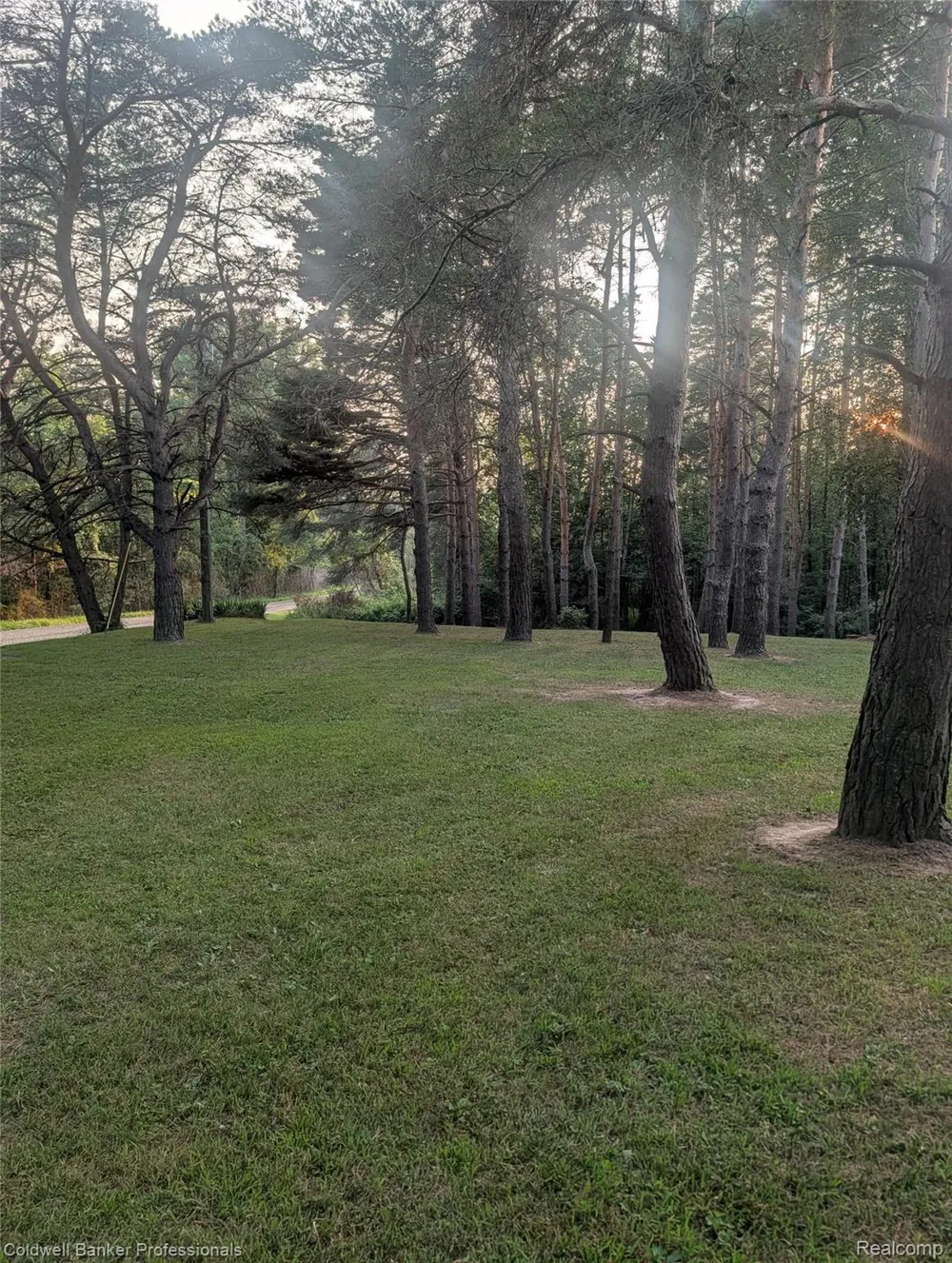 6895 Lanway Road Koylton Township, MI 48741