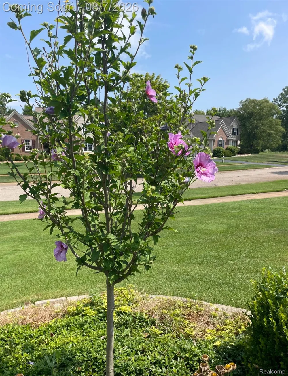 5818 Pine Trace Court Genoa Township, MI 48843