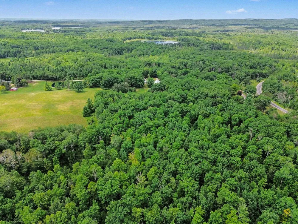 5444 S Branch Road Plainfield Township, MI 48743