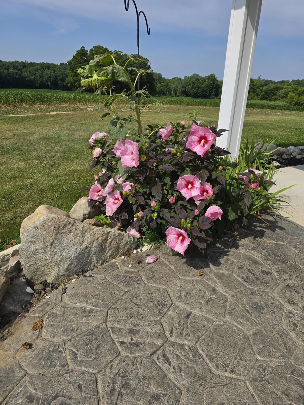 2282 Lake Wilson Road Hillsdale Township, MI 49242