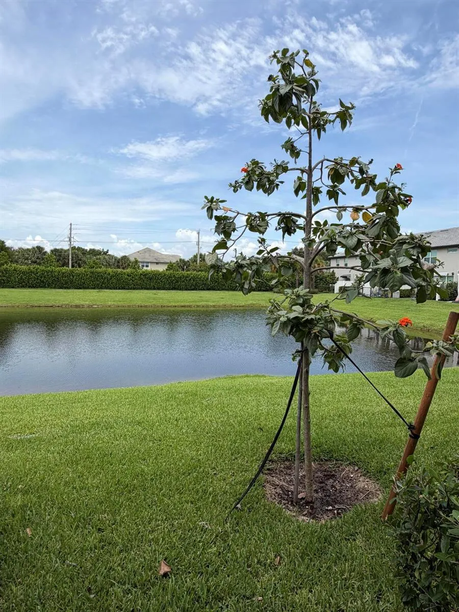2933 OLIVIA AVENUE Lauderdale Lakes, FL 33311