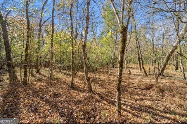 0 Cords Bridge RD Milledgeville, GA 31061