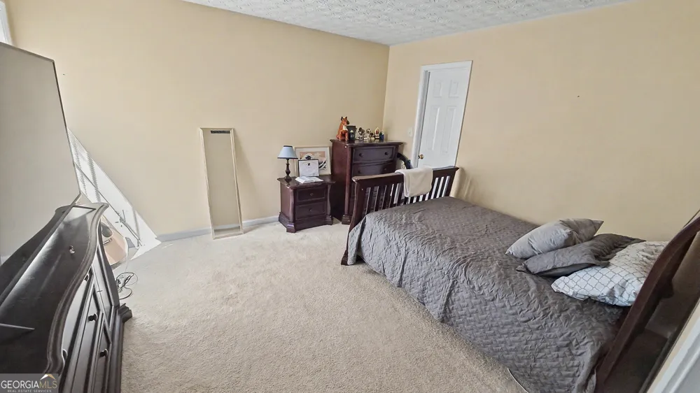 6699 Island Pointe DR Buford, GA 30518