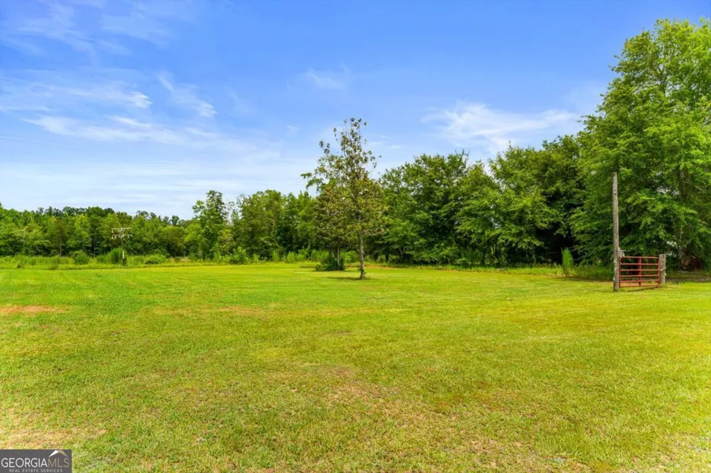 762 Old Mcleod Bridge RD Adrian, GA 31002