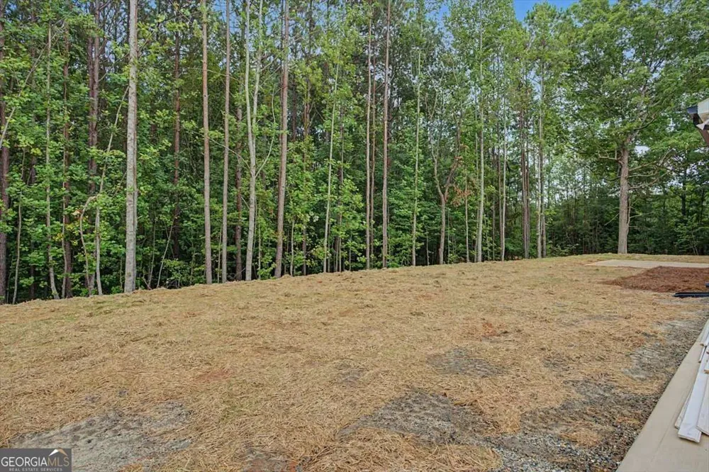 201 Loftis RD Temple, GA 30179