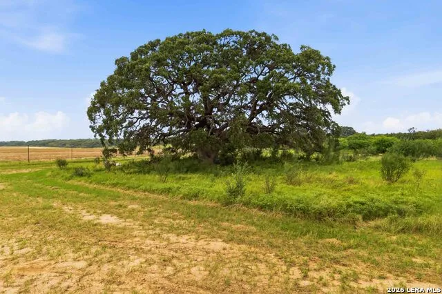 2194 S Ranch Rd 187 Sabinal, TX 78881