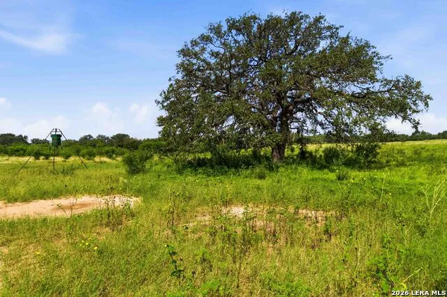 2194 S Ranch Rd 187 Sabinal, TX 78881