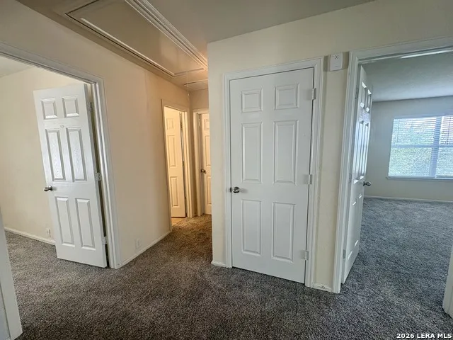 15810 COTTON TAIL LN San Antonio, TX 78255