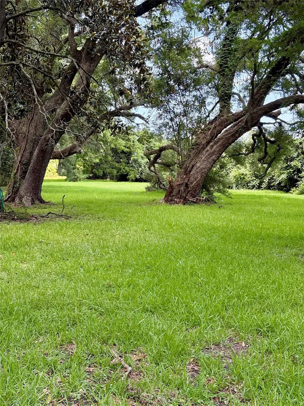 116 Balsam Street Lake Jackson, TX 77566