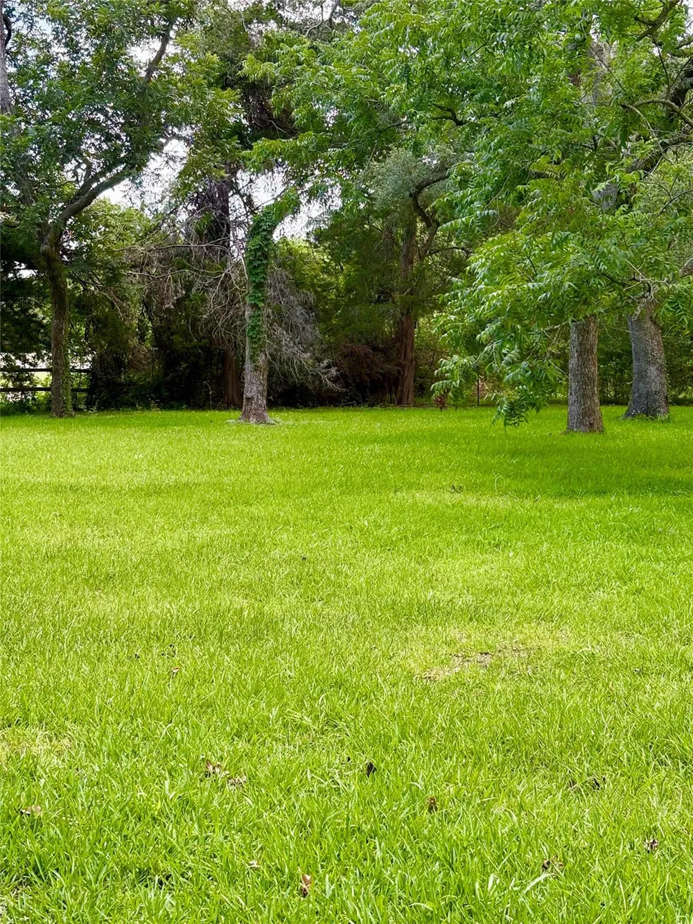 116 Balsam Street Lake Jackson, TX 77566