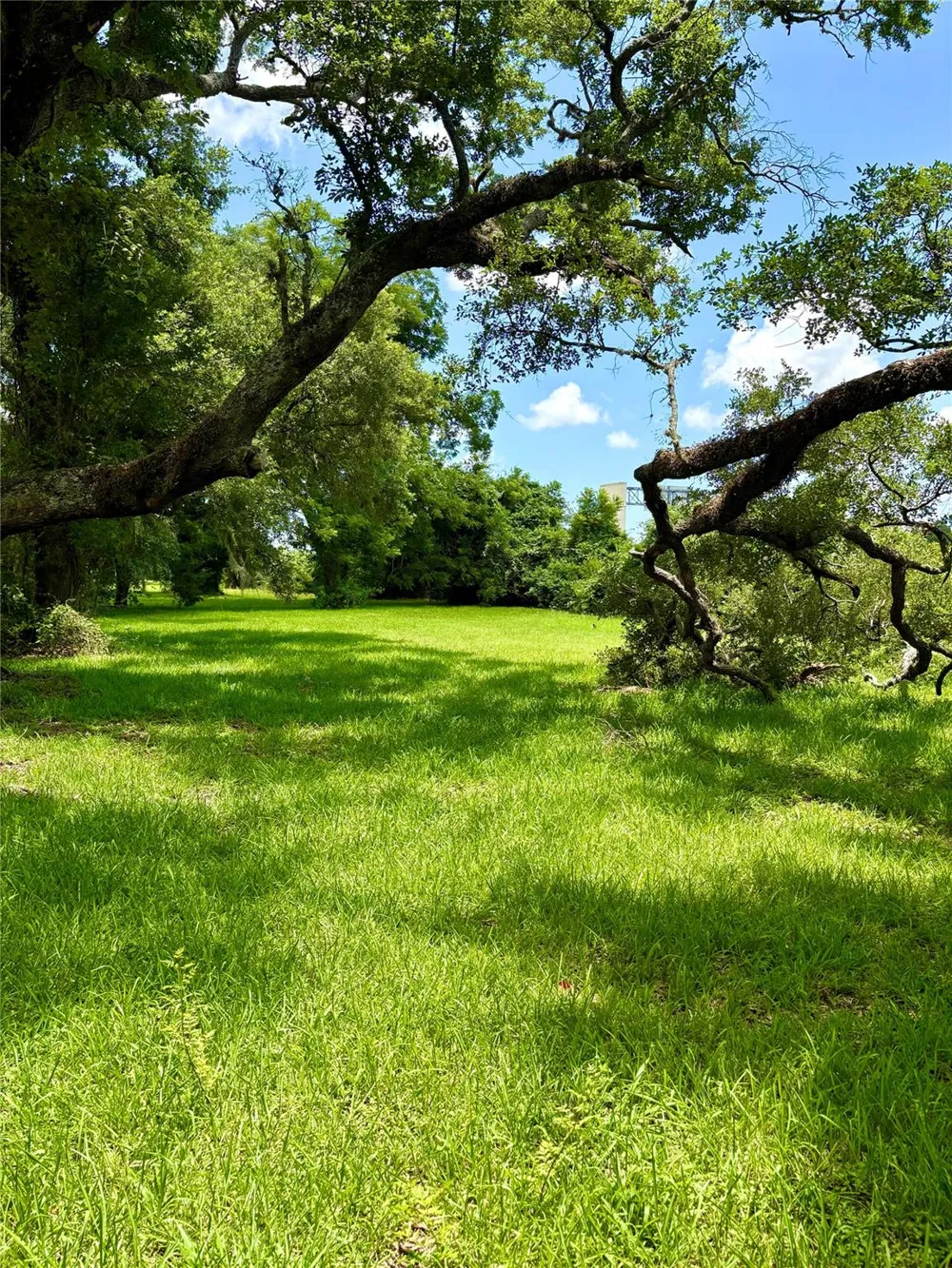 116 Balsam Street Lake Jackson, TX 77566