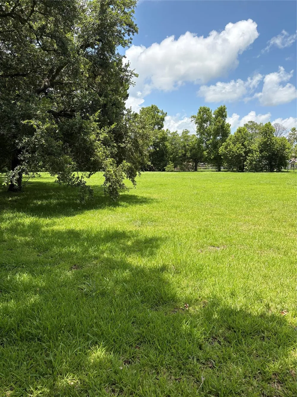 116 Balsam Street Lake Jackson, TX 77566