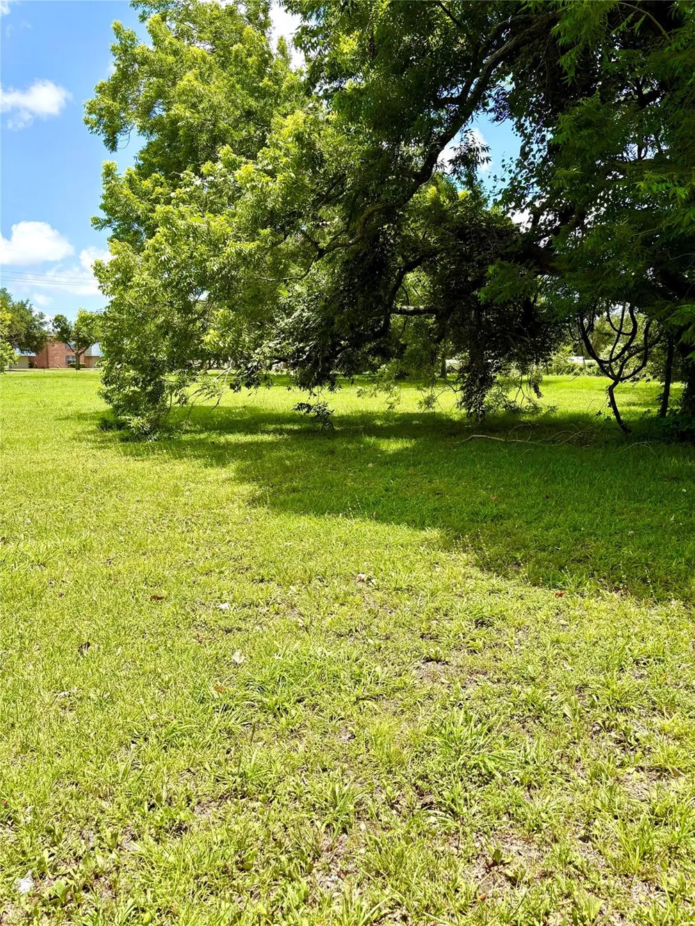 116 Balsam Street Lake Jackson, TX 77566
