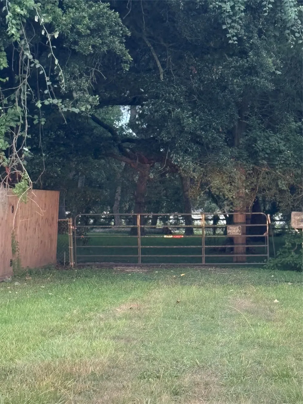 116 Balsam Street Lake Jackson, TX 77566
