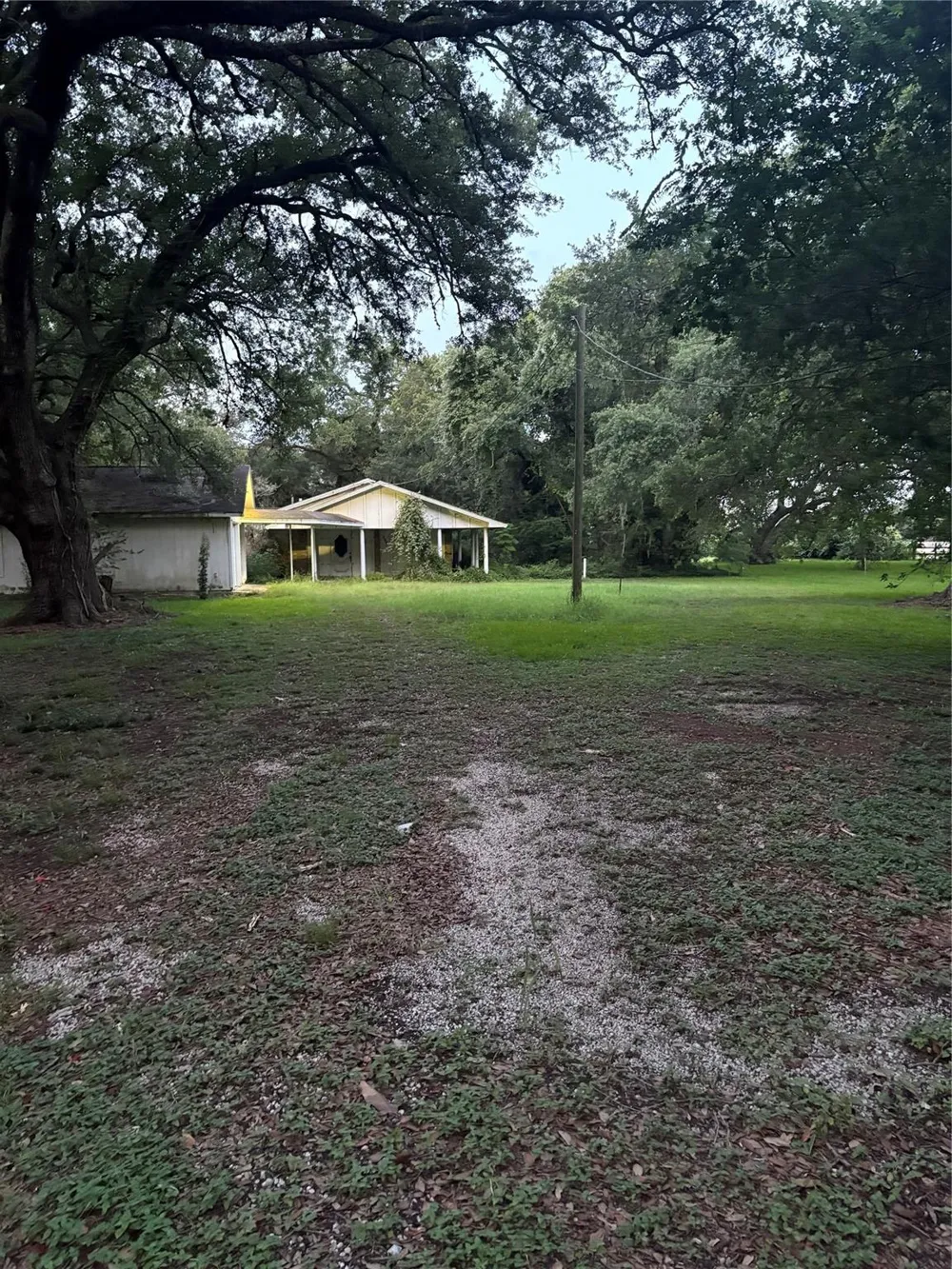 116 Balsam Street Lake Jackson, TX 77566