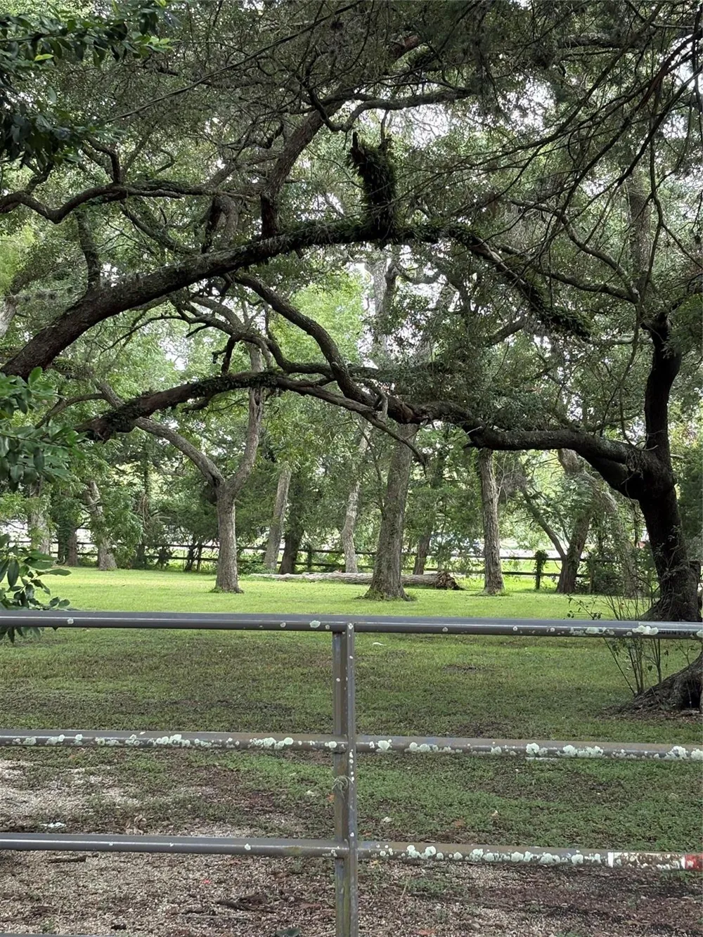 116 Balsam Street Lake Jackson, TX 77566